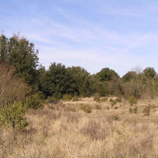 Natura 2000 de Châteauneuf-sur-Charente