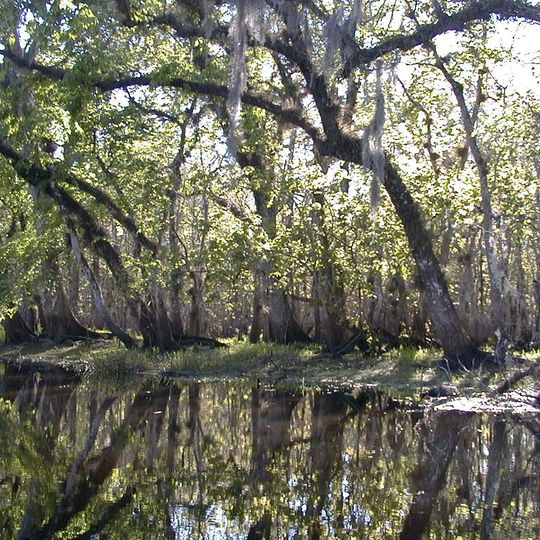 St. Johns River