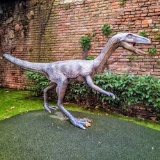 Allosaurus