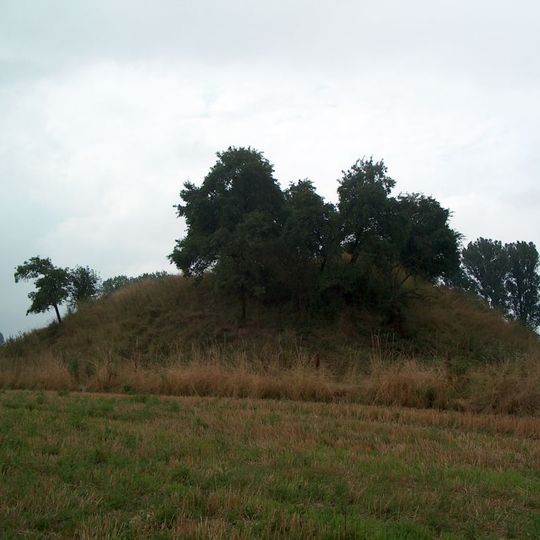 Motte Altenburg