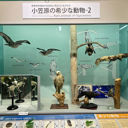 Ogasawara Visitor Center