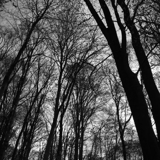 Breite Oak Tree Reserve