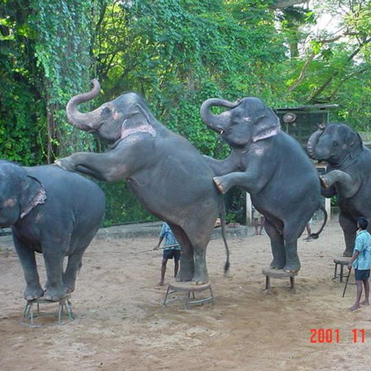 Jardín zoológico nacional de Sri Lanka