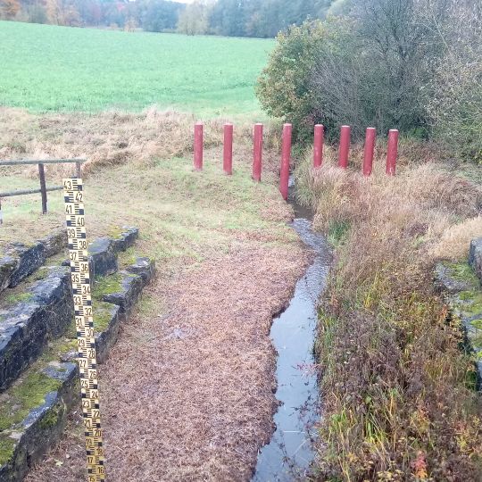 Hochwasserrückhaltebecken Hägenichbach