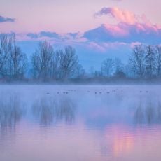 Bonifica della Gherardesca