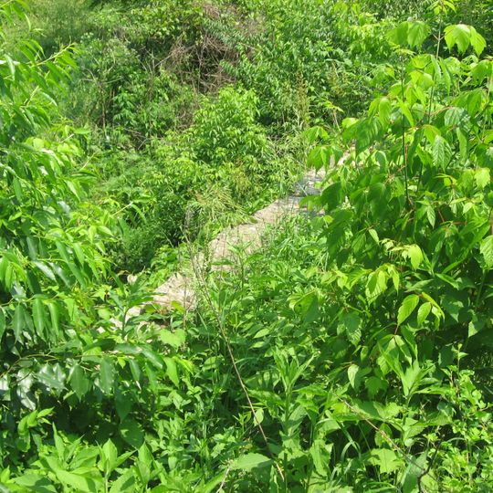 Burnett's Creek Arch