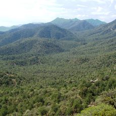 Bosque nacional de Coronado