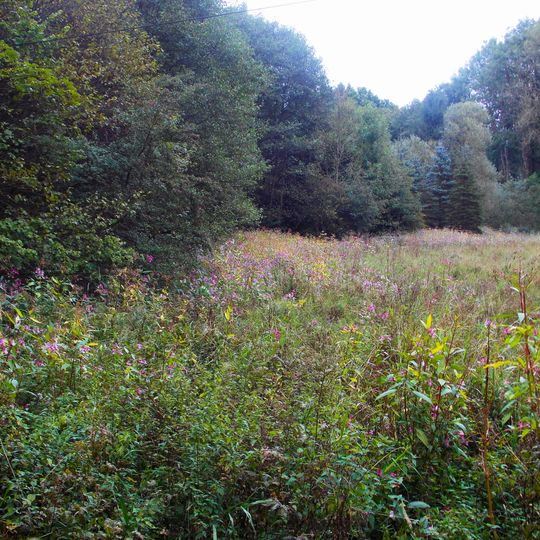 Mittel- und Unterlauf der Mattmecke sowie Talraum der Linnepe östlich von Schloss Oedenthal