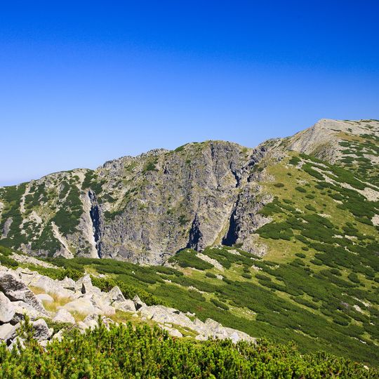 Плешки връх