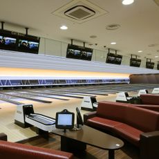 コロナキャットボウル　安城店