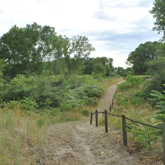 Riserva naturale orientata dune fossili di Massenzatica