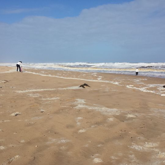 Williamsons Beach, Dalyston