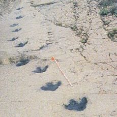 Yacimiento de Valdeté