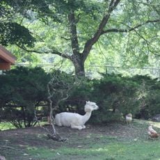 Lehigh Valley Zoo