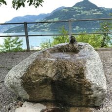 Brunnen Frosch