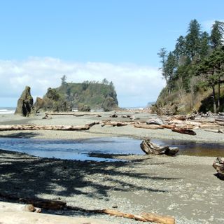Pacific coastal area of Olympic National Park