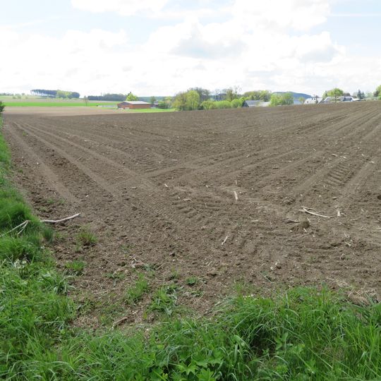 LSG-Offenlandbereich Bueenfeld <Typ B>