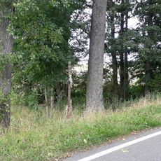 Kříž u Mnichu u silnice do Deštné