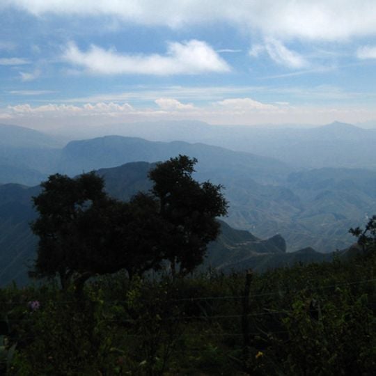 Sierra Gorda Biosphere Reserve
