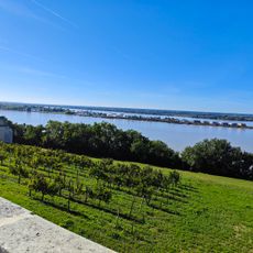 Confluence viewpoint