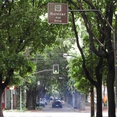 Bulevar dos Oitis