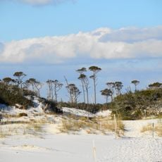 Bon Secour National Wildlife Refuge