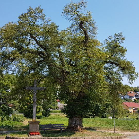 Naturdenkmal 1 Linde Dittwar Obere Seegärten
