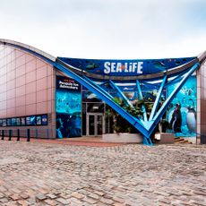 National Sea Life Centre
