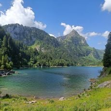 Taney lake