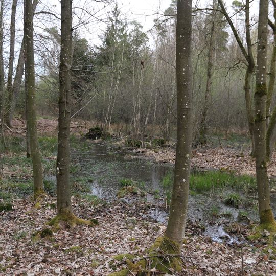 Feuchtgebiet Gemeindeholz