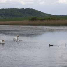 Taubertal nördlich Rothenburg und Steinbachtal