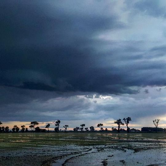 Riserva naturale Po di Volano
