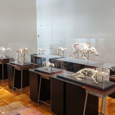 Museum of Natural and Environmental History，Shizuoka