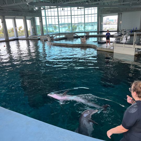 Clearwater Marine Aquarium