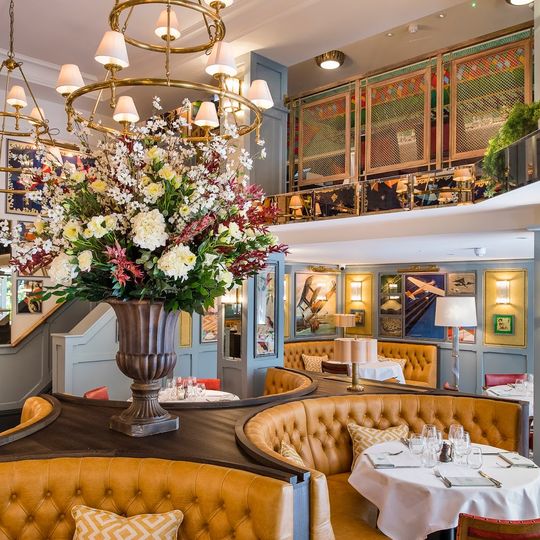 The Ivy