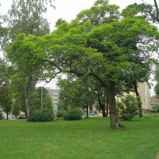 Park Lesík delostrelcov