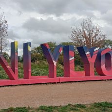 #onlylyon