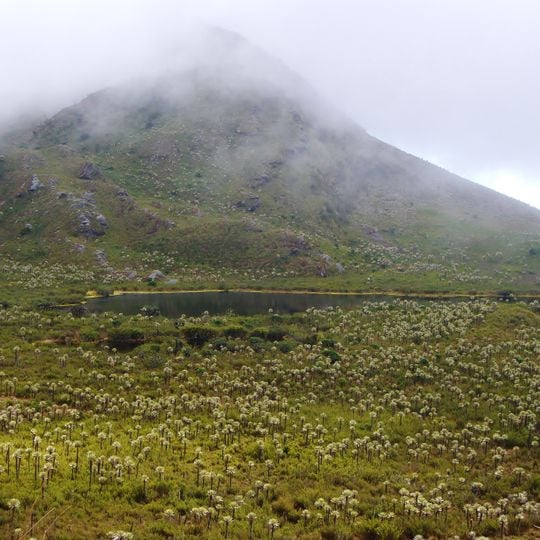 Parc national naturel de Chingaza