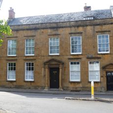 Little Elms  The Elms