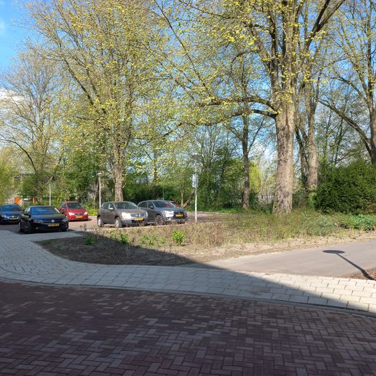 Suze Groenewegplantsoen