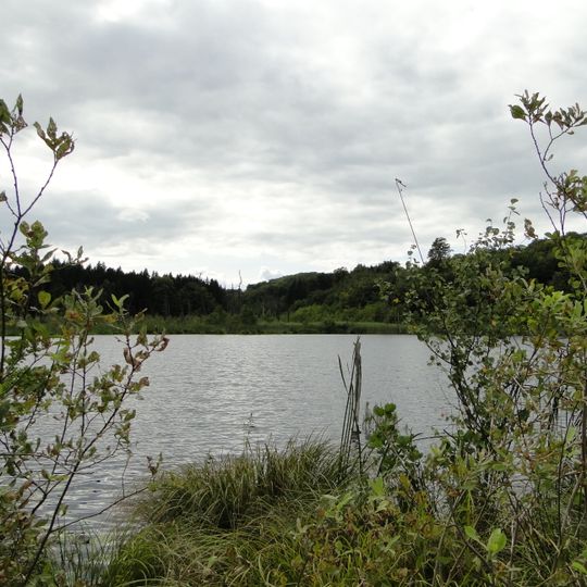 Schlemminer Wälder und Kleingewässerlandschaft