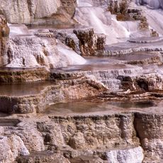 Mammoth Hot Springs