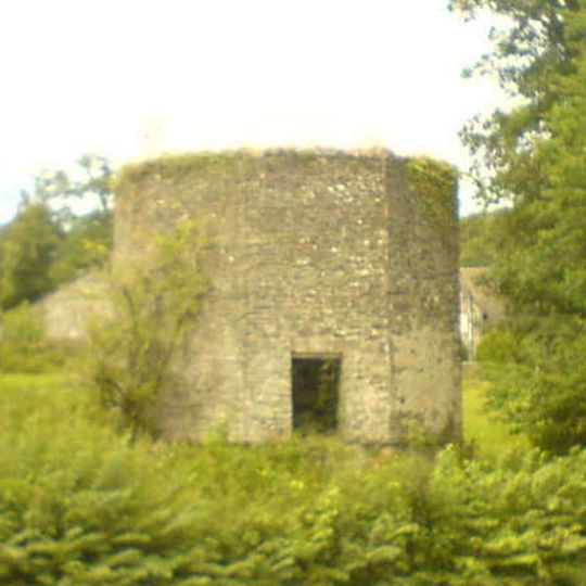 Dovecote to S. of courtyard ranges at Dynevor Castle , Dynevor Park