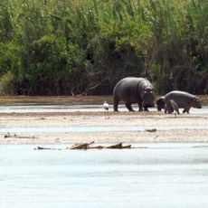 Rusizi National Park