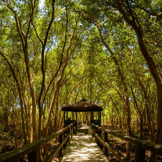 Critical area e zona ecoturistica di Las Piñas-Parañaque