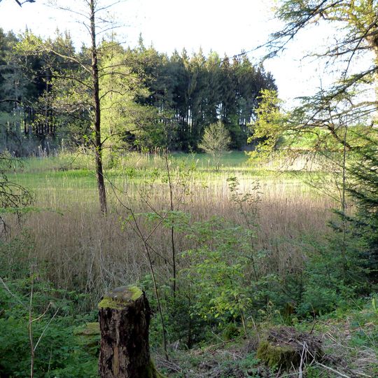 Orbachtal mit Streuwiesen