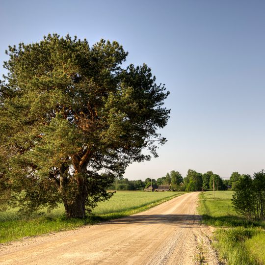 Ahja Rural Municipality