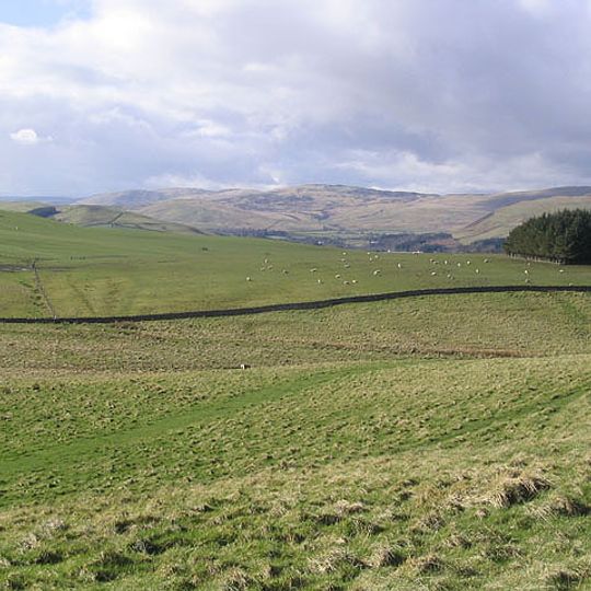 Oakwood, Roman fort and camp SSE of