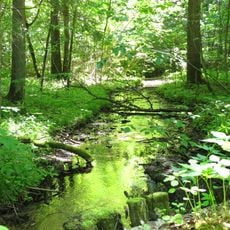 Nature reserve Budzisk