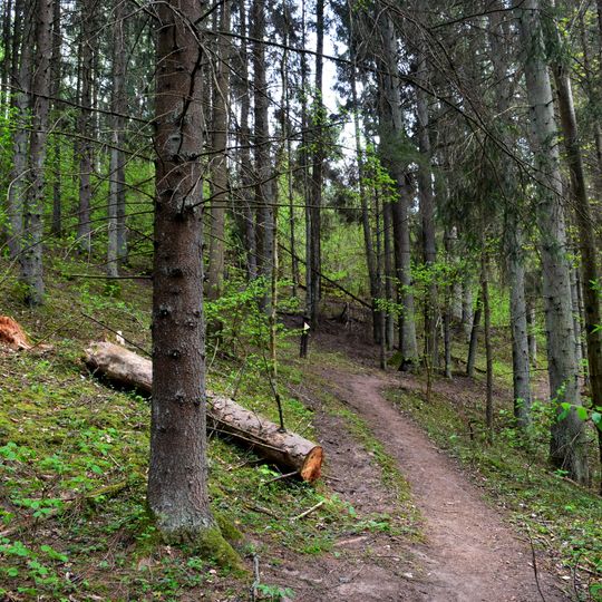 Plokščiai hillfort